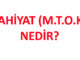 ilahiyat-mtok-nedir